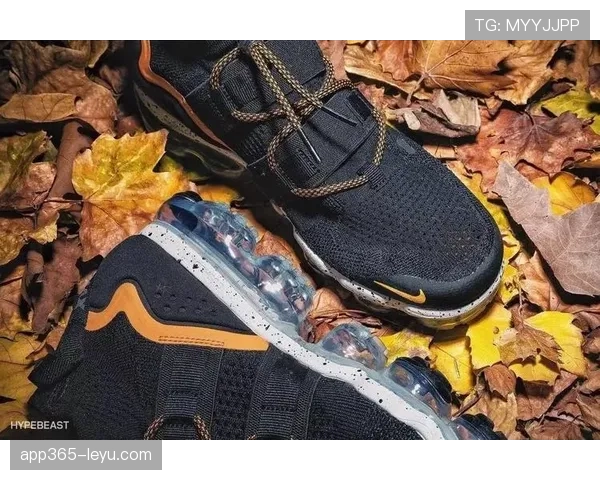 杨Adidas代言引发热议，运动品牌合作再掀话题高潮