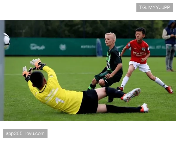 南安普顿青训系统：稳步提升，打造未来足球明星的新摇篮