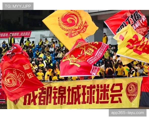 激战四方！全球顶级足球赛事点燃球迷热情，精彩对决不容错过