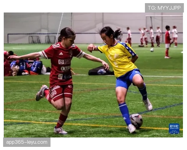 芬兰团队精神驱动足球领域合作创新氛围蓬勃兴起